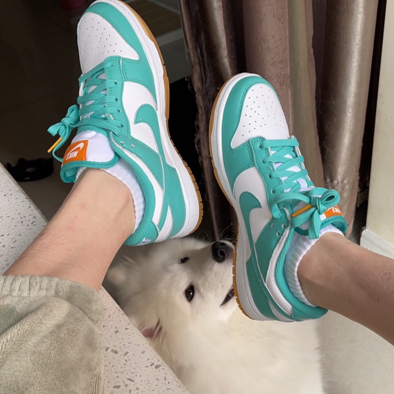 nike dunk low miami dolphins 1