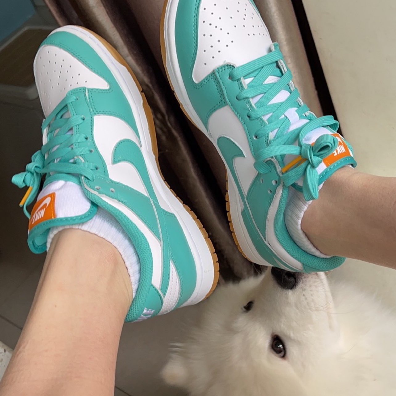 nike dunk low miami dolphins
